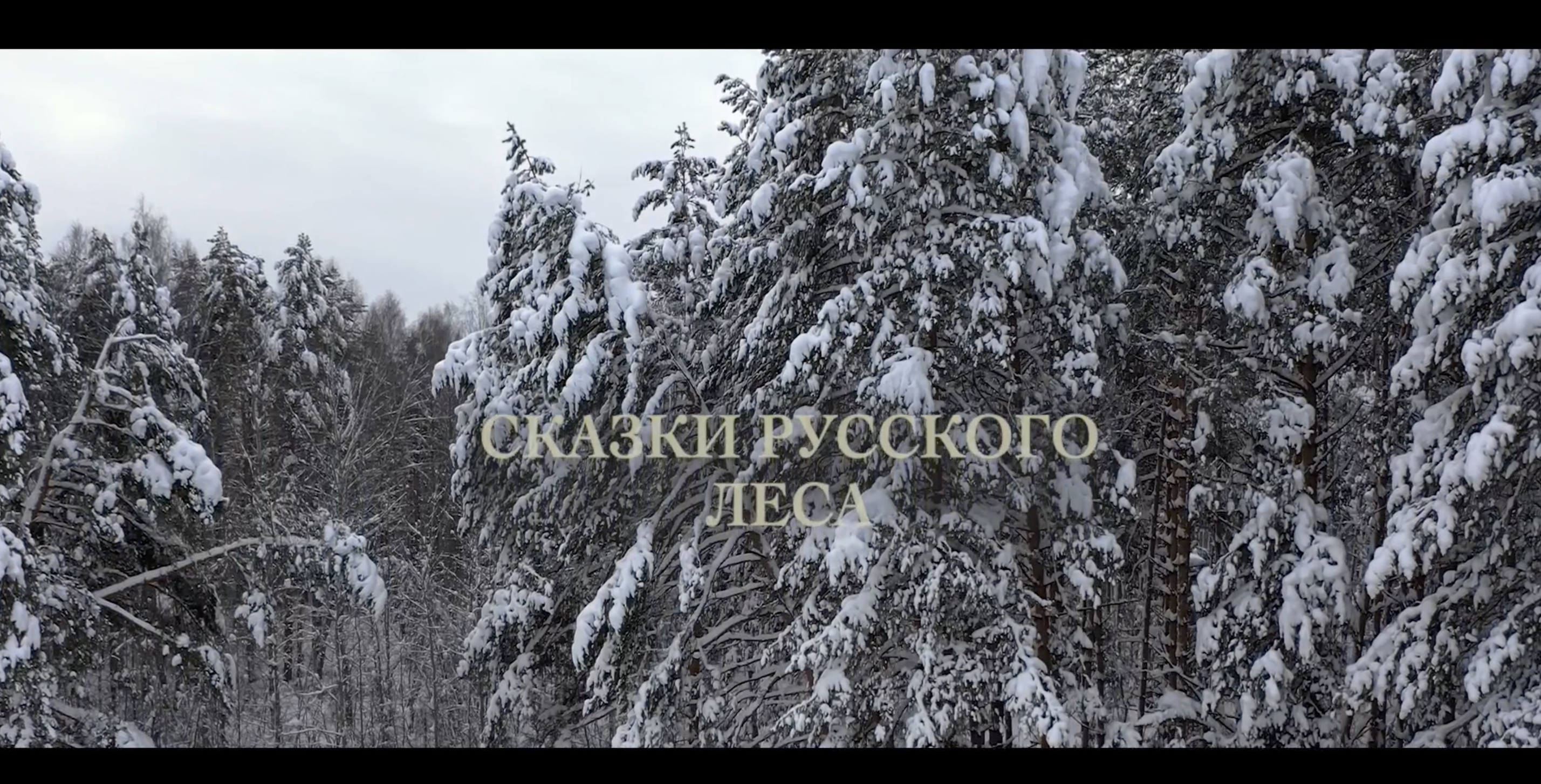 «Сказки русского леса»